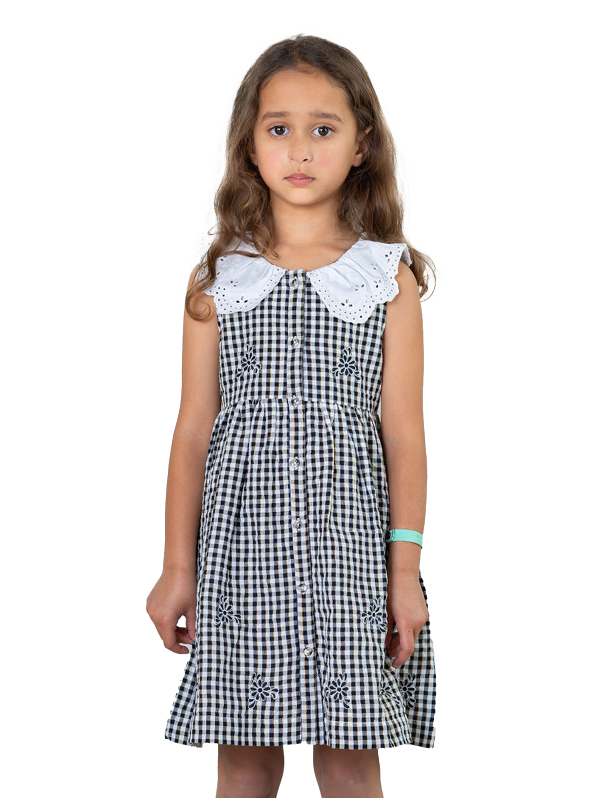 Willow Collar Embroidered Gingham Dress