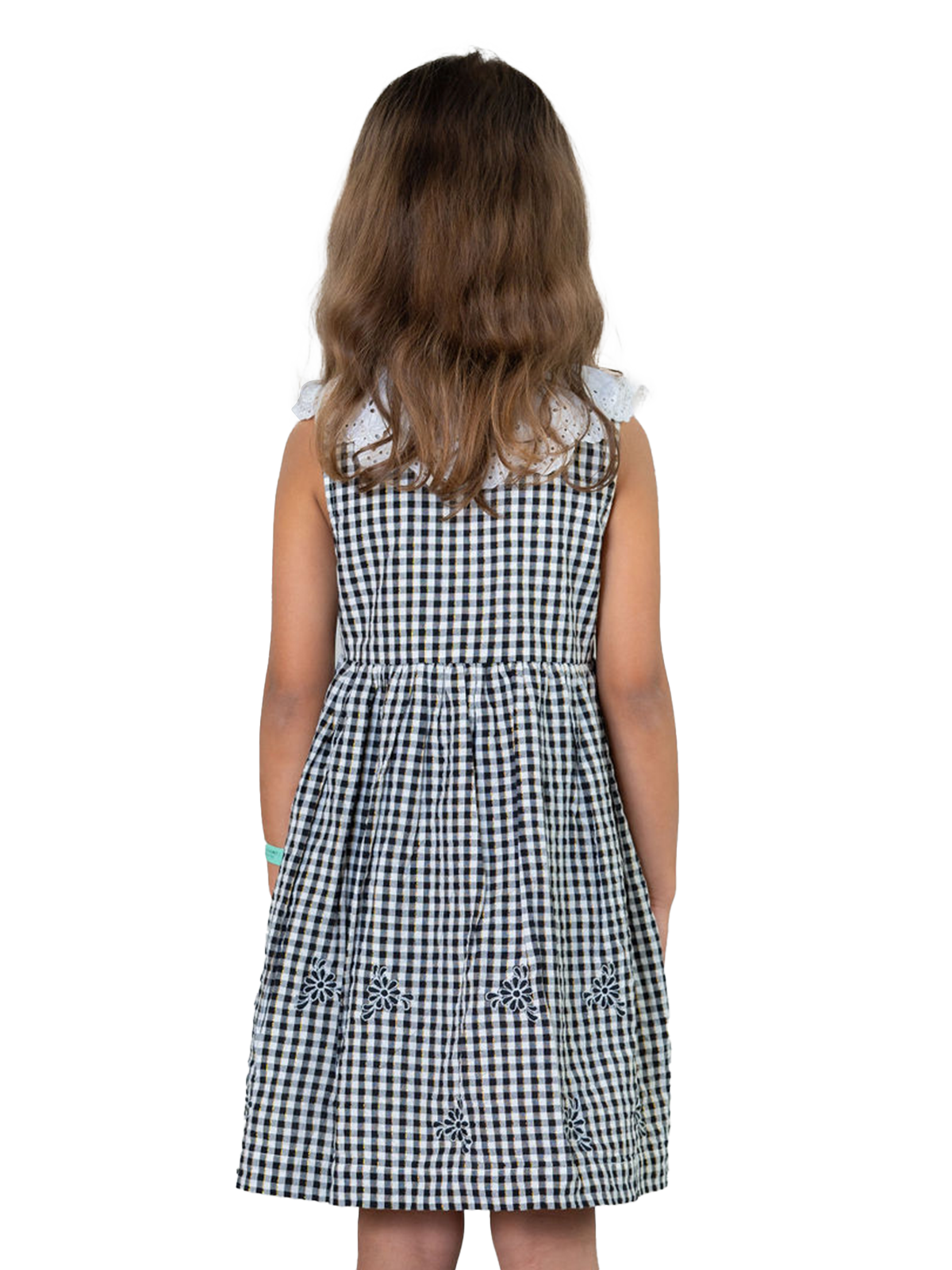 Willow Collar Embroidered Gingham Dress